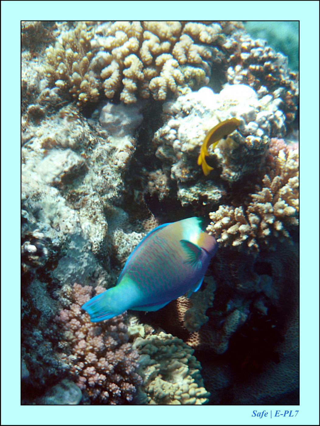 Hurghada - Juillet 2021 - 039